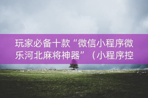 玩家必备十款“微信小程序微乐河北麻将神器”（小程序控牌器)
