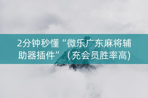 2分钟秒懂“微乐广东麻将辅助器插件”（充会员胜率高)