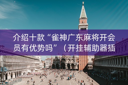介绍十款“雀神广东麻将开会员有优势吗”（开挂辅助器插件)