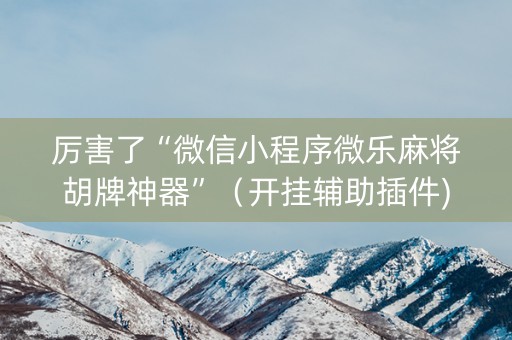 厉害了“微信小程序微乐麻将胡牌神器”（开挂辅助插件)