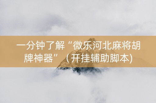一分钟了解“微乐河北麻将胡牌神器”（开挂辅助脚本)