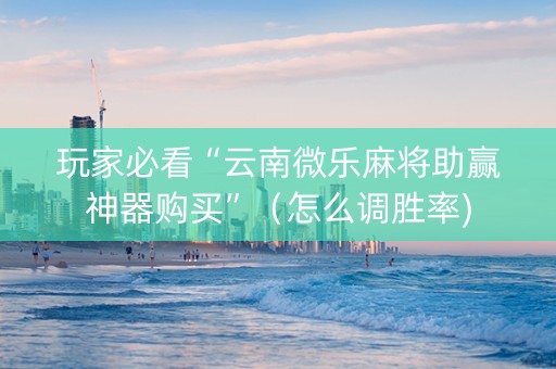 玩家必看“云南微乐麻将助赢神器购买”（怎么调胜率)