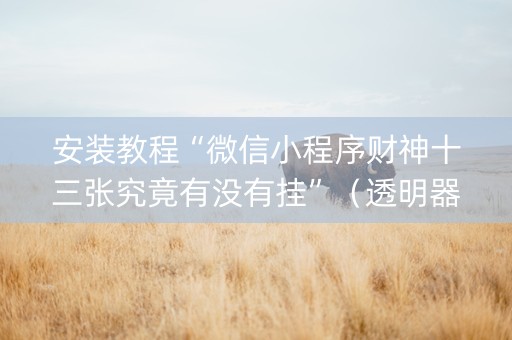 安装教程“微信小程序财神十三张究竟有没有挂”（透明器教程)