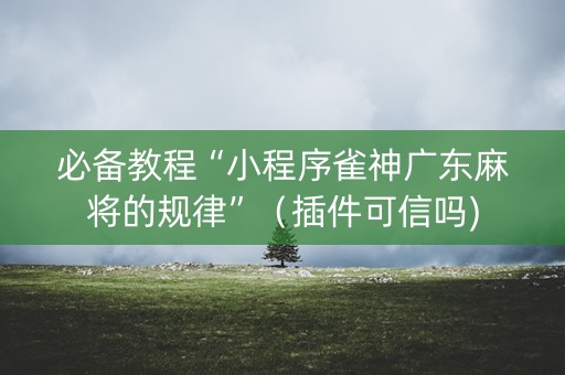 必备教程“小程序雀神广东麻将的规律”（插件可信吗)