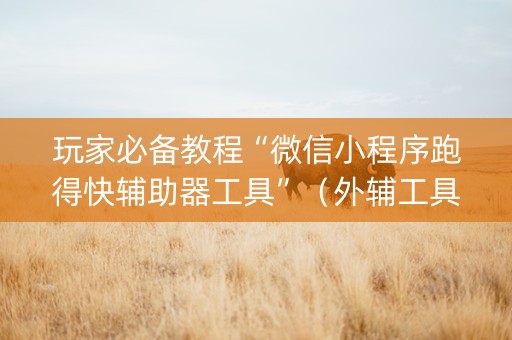 玩家必备教程“微信小程序跑得快辅助器工具”（外辅工具)