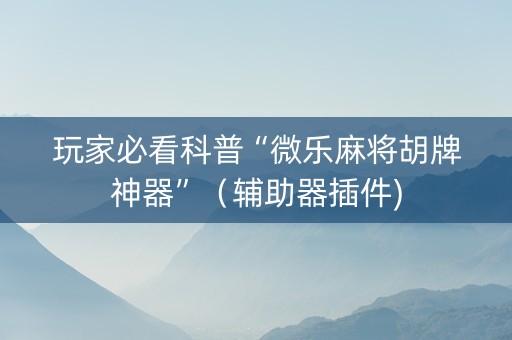 玩家必看科普“微乐麻将胡牌神器”（辅助器插件)