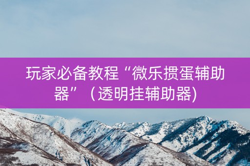 玩家必备教程“微乐掼蛋辅助器”（透明挂辅助器)