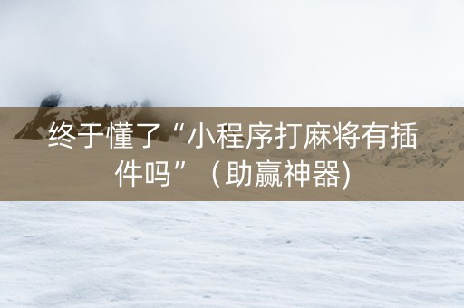 终于懂了“小程序打麻将有插件吗”（助赢神器)