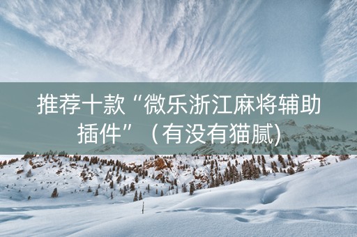 推荐十款“微乐浙江麻将辅助插件”（有没有猫腻)