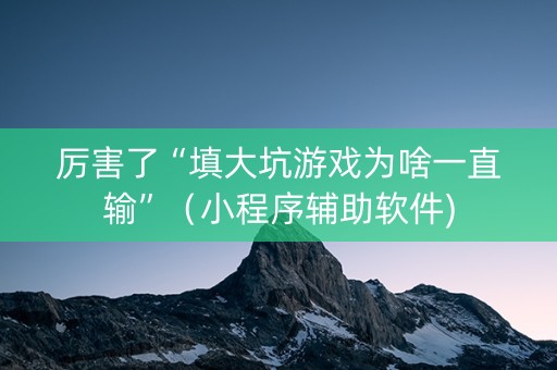 厉害了“填大坑游戏为啥一直输”（小程序辅助软件)