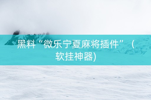 黑料“微乐宁夏麻将插件”（软挂神器)