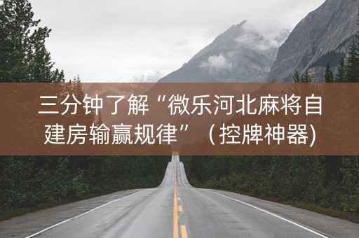 三分钟了解“微乐河北麻将自建房输赢规律”（控牌神器)