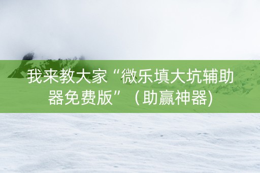 我来教大家“微乐填大坑辅助器免费版”（助赢神器)
