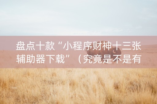 盘点十款“小程序财神十三张辅助器下载”（究竟是不是有挂)