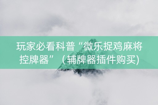 玩家必看科普“微乐捉鸡麻将控牌器”（辅牌器插件购买)