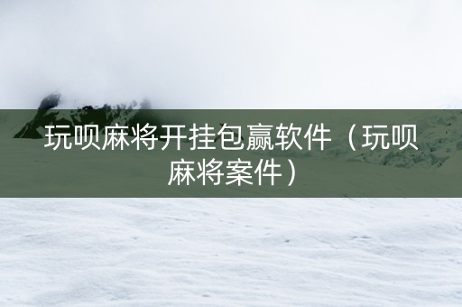 玩呗麻将开挂包赢软件（玩呗麻将案件）