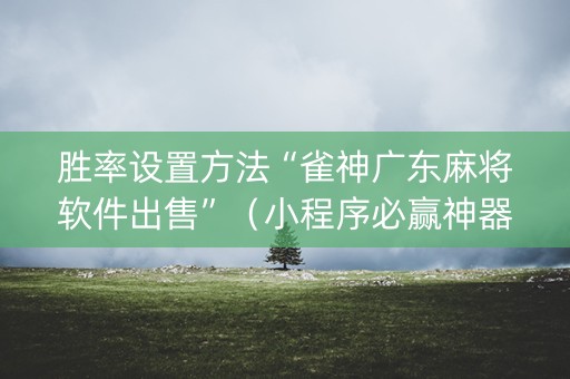 胜率设置方法“雀神广东麻将软件出售”（小程序必赢神器)