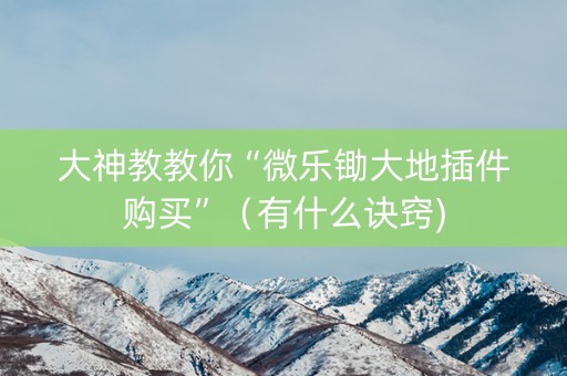 大神教教你“微乐锄大地插件购买”（有什么诀窍)