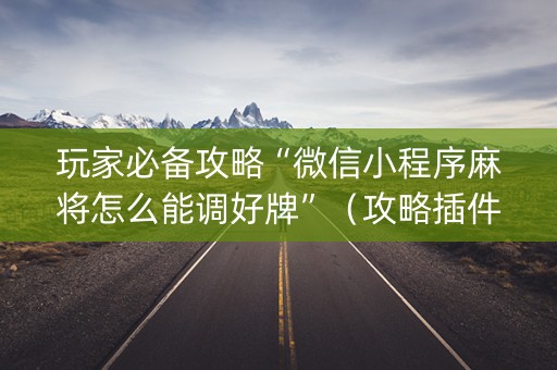 玩家必备攻略“微信小程序麻将怎么能调好牌”（攻略插件)