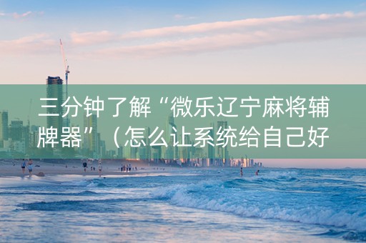 三分钟了解“微乐辽宁麻将辅牌器”（怎么让系统给自己好牌)