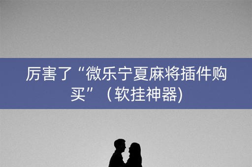 厉害了“微乐宁夏麻将插件购买”（软挂神器)