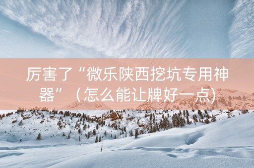 厉害了“微乐陕西挖坑专用神器”（怎么能让牌好一点)