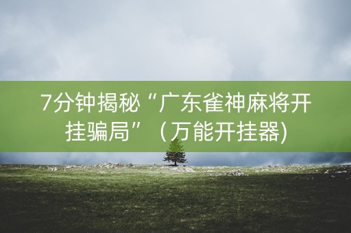 7分钟揭秘“广东雀神麻将开挂骗局”（万能开挂器)