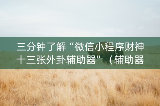 三分钟了解“微信小程序财神十三张外卦辅助器”（辅助器插件)