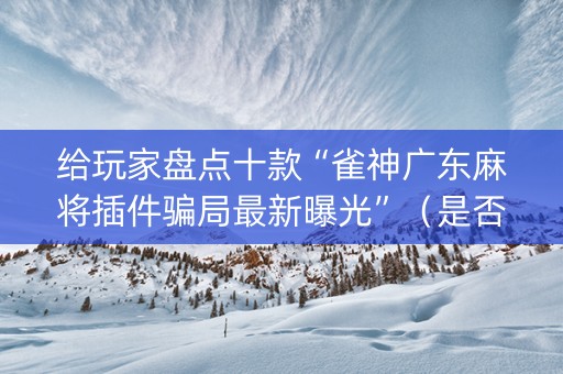 给玩家盘点十款“雀神广东麻将插件骗局最新曝光”（是否能开挂)