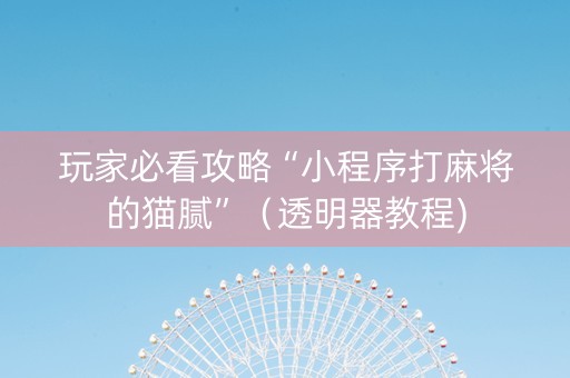 玩家必看攻略“小程序打麻将的猫腻”（透明器教程)