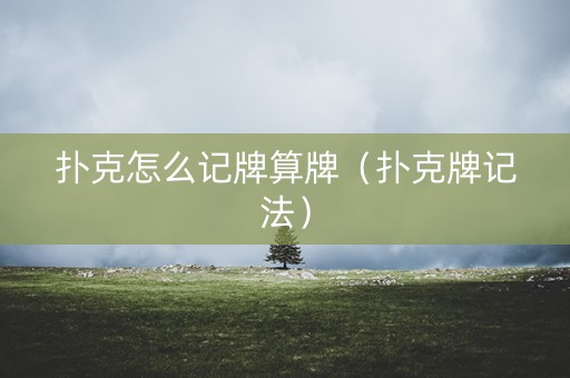 扑克怎么记牌算牌（扑克牌记法）