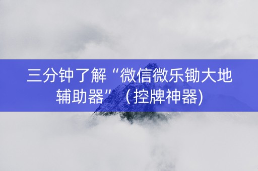 三分钟了解“微信微乐锄大地辅助器”（控牌神器)