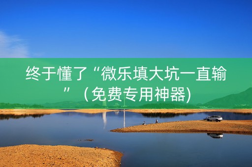 终于懂了“微乐填大坑一直输”（免费专用神器)