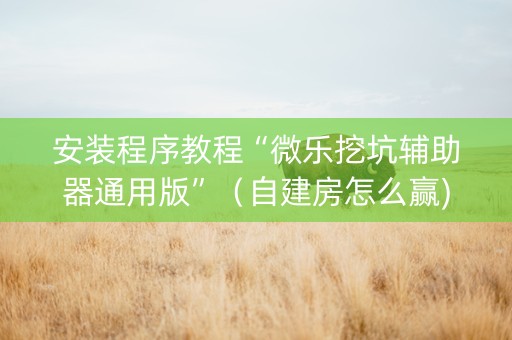 安装程序教程“微乐挖坑辅助器通用版”（自建房怎么赢)