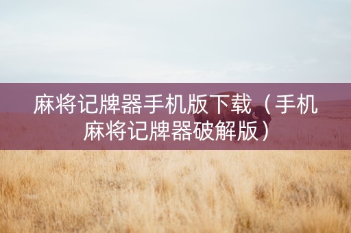 麻将记牌器手机版下载（手机麻将记牌器破解版）