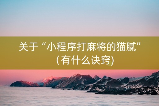 关于“小程序打麻将的猫腻”（有什么诀窍)