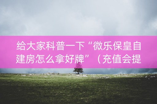 给大家科普一下“微乐保皇自建房怎么拿好牌”（充值会提高胜率么)