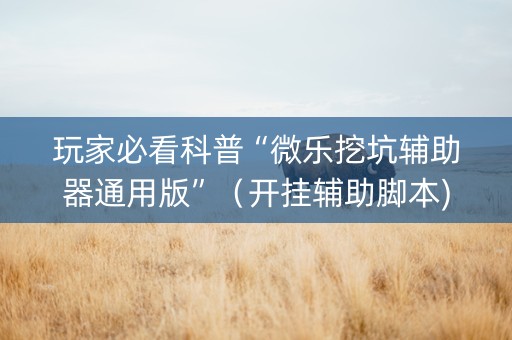 玩家必看科普“微乐挖坑辅助器通用版”（开挂辅助脚本)