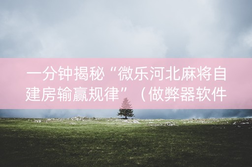 一分钟揭秘“微乐河北麻将自建房输赢规律”（做弊器软件下载)