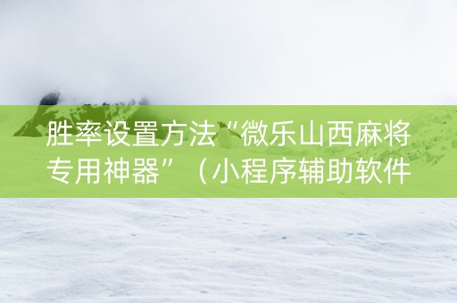 胜率设置方法“微乐山西麻将专用神器”（小程序辅助软件)