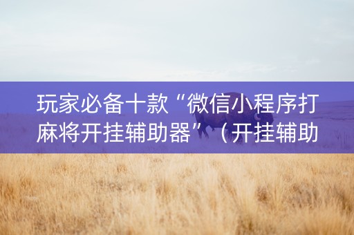 玩家必备十款“微信小程序打麻将开挂辅助器”（开挂辅助插件)