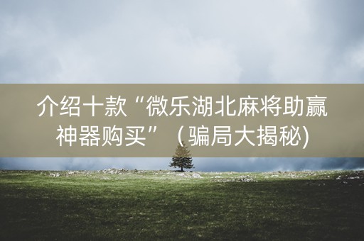 介绍十款“微乐湖北麻将助赢神器购买”（骗局大揭秘)