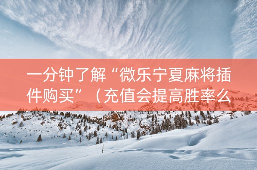 一分钟了解“微乐宁夏麻将插件购买”（充值会提高胜率么)