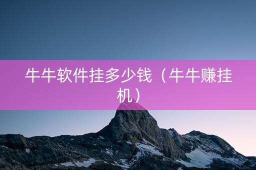 牛牛软件挂多少钱（牛牛赚挂机）