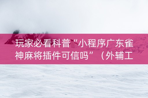 玩家必看科普“小程序广东雀神麻将插件可信吗”（外辅工具)