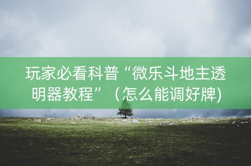 玩家必看科普“微乐斗地主透明器教程”（怎么能调好牌)