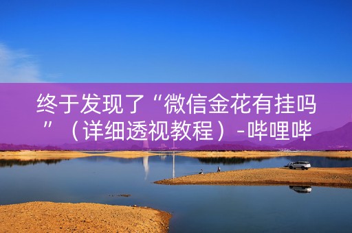 终于发现了“微信金花有挂吗”（详细透视教程）-哔哩哔哩