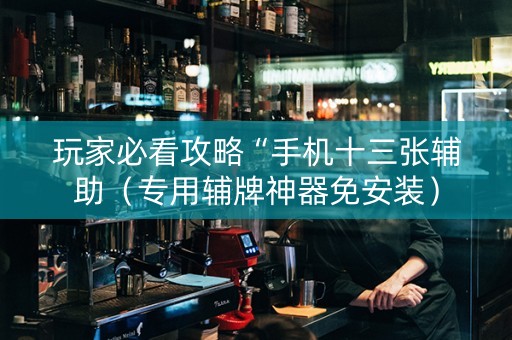 玩家必看攻略“手机十三张辅助（专用辅牌神器免安装）