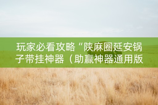 玩家必看攻略“陕麻圈延安锅子带挂神器（助赢神器通用版）