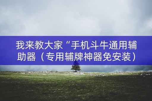 我来教大家“手机斗牛通用辅助器（专用辅牌神器免安装）